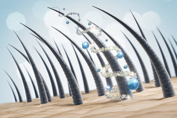 Coiffures végétales sur mesure pour la croissance des cils Liquide Organique Coiffures végétaliennes Serum pour de belles cils 5