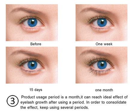 Améliorez votre jeu avec le sérum de croissance des cils Prolash Vegan 100% Lash Enhancer 6.5ml 9
