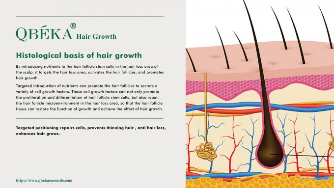 GMPC Standard Shampooing de prévention de la perte de cheveux pour la perte de cheveux et le traitement de l'amincissement 80m 2
