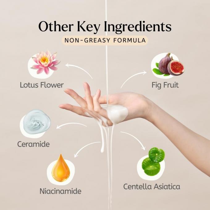 Extraits naturels tonifiant de riz de marque privée 1