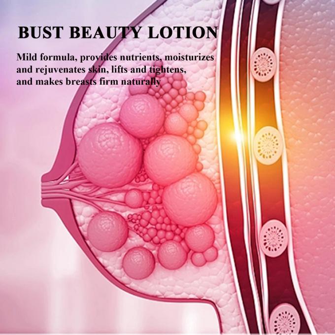 Lotion naturelle végétalienne pour renforcer les seins Logo du client Acceptable Massage serré pour OEM ODM 3