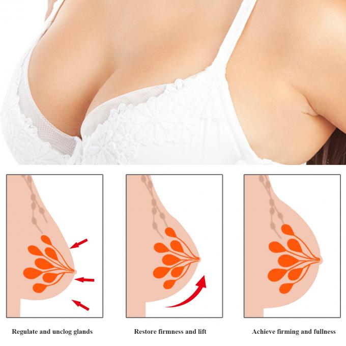 Lotion naturelle végétalienne pour renforcer les seins Logo du client Acceptable Massage serré pour OEM ODM 5